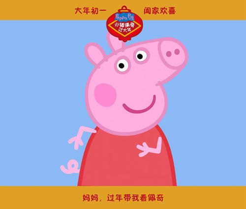 康斯坦茨大学Diploma in Business Management